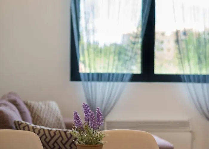 Bajka Daire Zlatibor